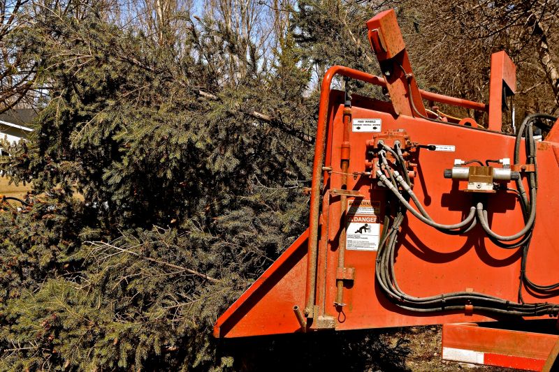 Tree Removal Equipment