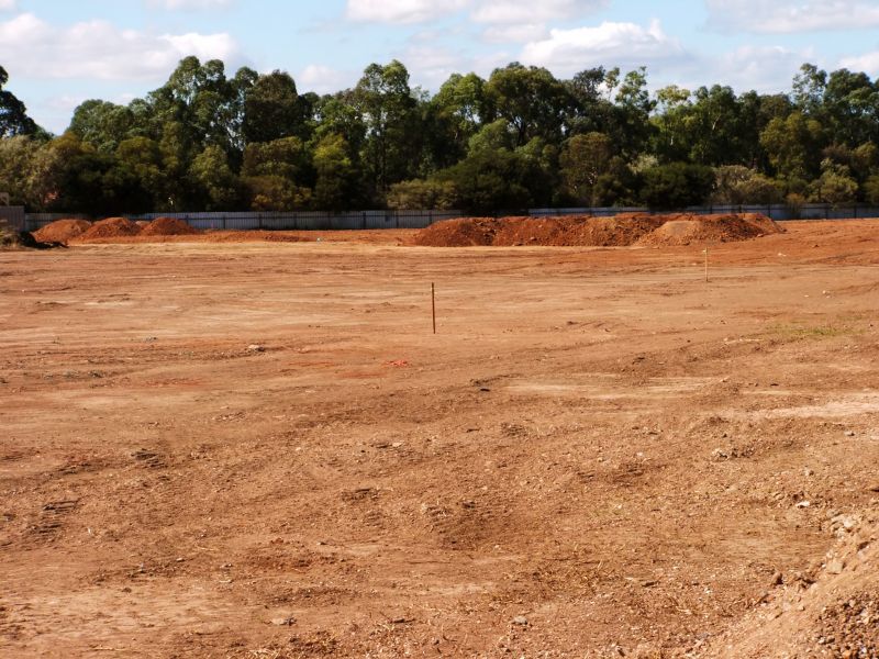 Seasonal Land Clearing