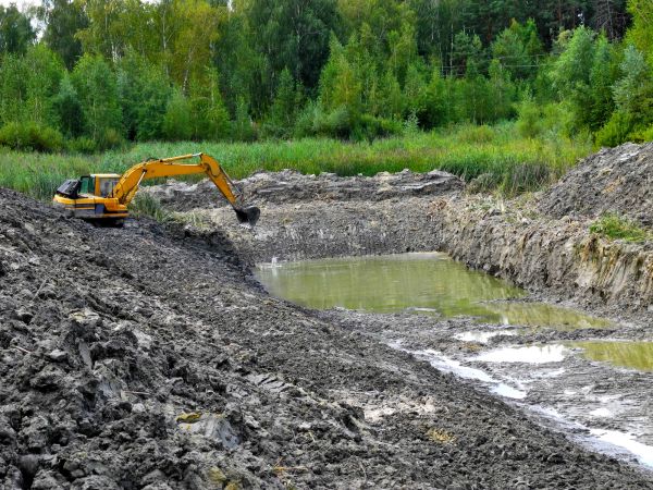 Cost of Lake Lot Clearing in Bend
